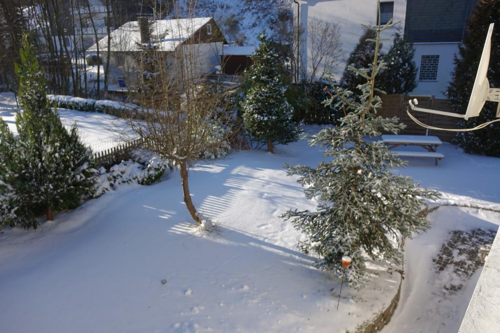 Villa Landhaus am Bach Winterberg Exterior foto